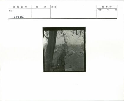 狭窄街道人群与瓦顶建筑.jpg