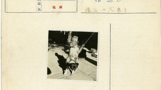 猴子戴帽骑狗链拴双犬.jpg