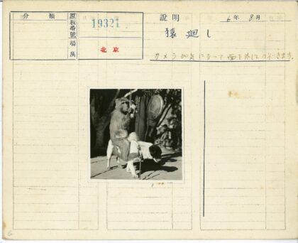 猴子骑狗背击鼓.jpg