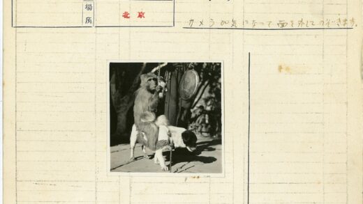 猴子骑狗背击鼓.jpg