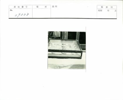 玻璃柜陈列牙模展示.jpg