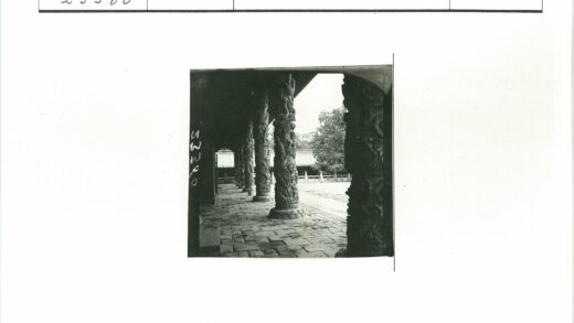 瓦顶廊柱庭院树景.jpg