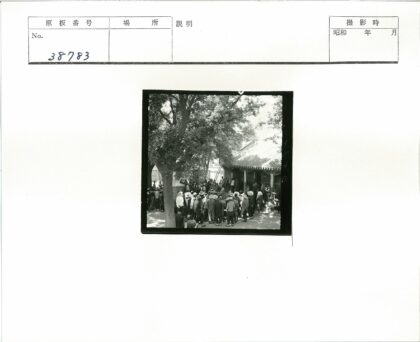 瓦顶建筑人群绿树成荫.jpg