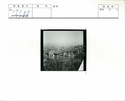瓦顶建筑群与城市远景.jpg