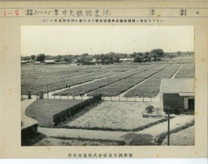 田园农场风光与农田小路.jpg