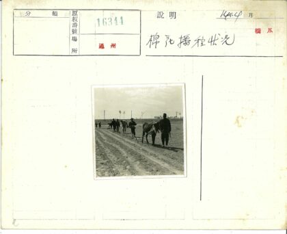 田园劳作与开阔天空.jpg