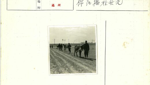 田园劳作与开阔天空.jpg