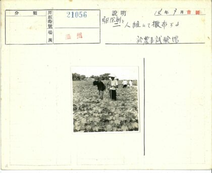 田园劳作与自然风光.jpg