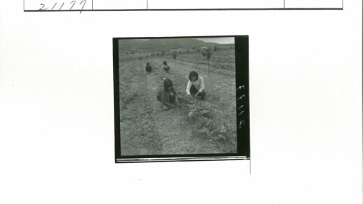 田园劳作与远山风光.jpg