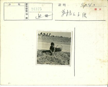 田园劳作的孩子与远方风景.jpg