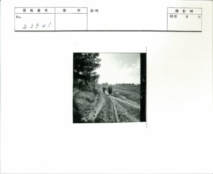 田园土路三人行.jpg