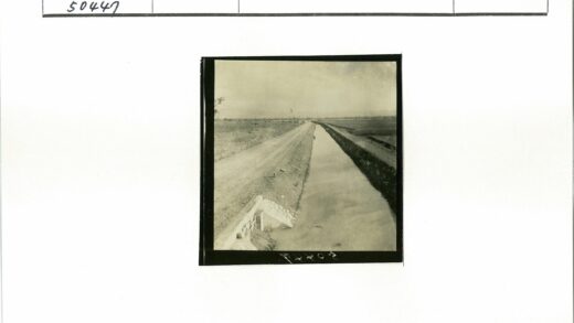 田园土路与灌溉渠平行景观.jpg