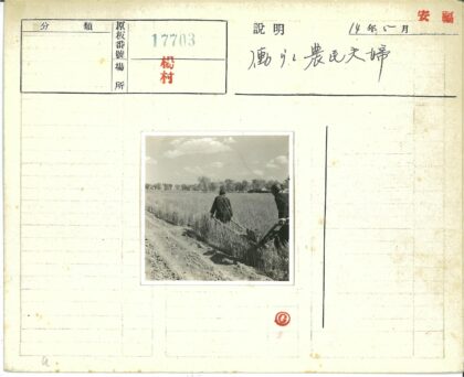 田园土路与远方的建筑.jpg