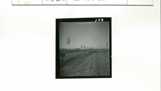 田园土路延伸至远丘.jpg