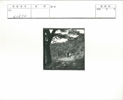 田园小路提篮人.jpg