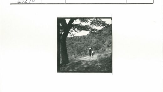 田园小路提篮人.jpg