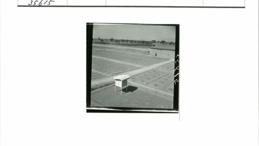 田园庇护所与远山建筑.jpg