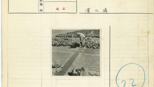 田园灌溉工作纪实.jpg