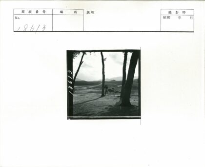 田园牧歌奶牛与山丘小路.jpg