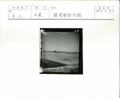 田园耕地与电线景观.jpg