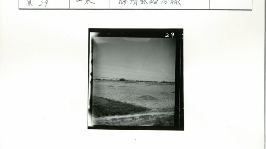田园耕地与电线景观.jpg