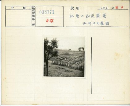 田园菜地劳作景观.jpg