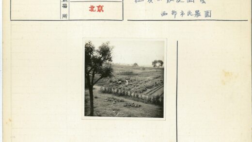 田园菜地劳作景观.jpg