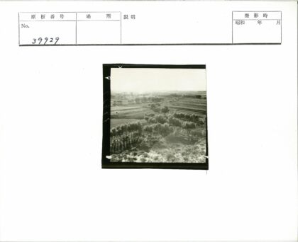 田园风光与平原树木景观.jpg