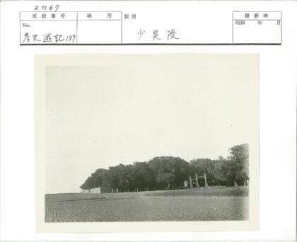 田园风光与林间建筑.jpg