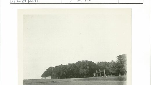 田园风光与林间建筑.jpg