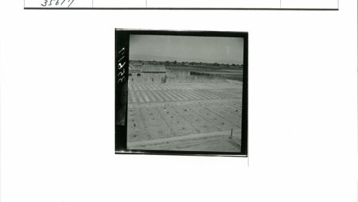 田园风光与砖瓦建筑远眺.jpg