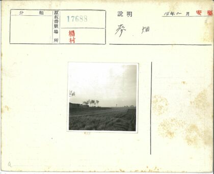 田园风光与远方农舍.jpg