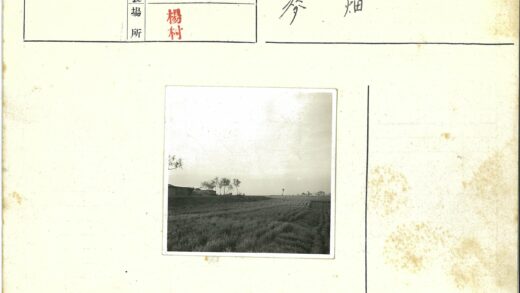 田园风光与远方农舍.jpg