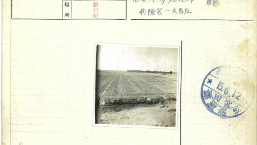 田园风光田野庄稼地平线.jpg