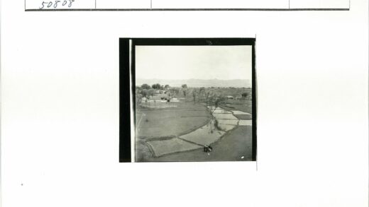 田园风光稻田山景宝塔.jpg