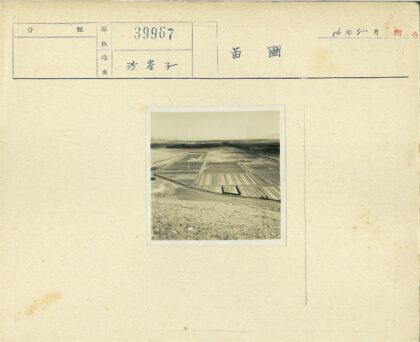 田园风光远山树木景观.jpg
