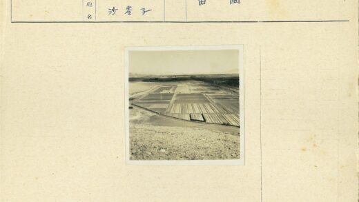 田园风光远山树木景观.jpg