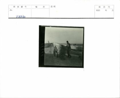 田园风光马车与河流.jpg