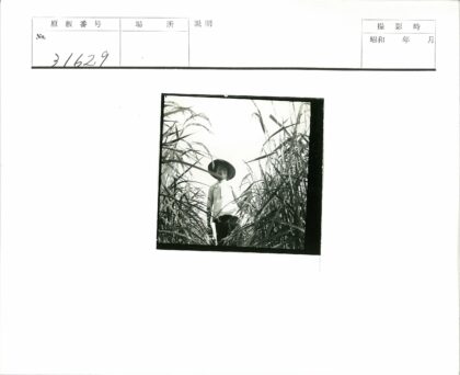 田野中戴宽边帽的人.jpg