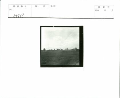 田野中的长方形建筑与树木.jpg