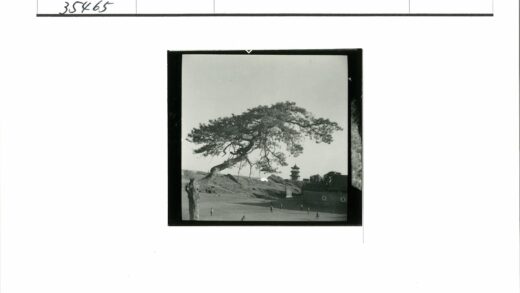 田野人群与宝塔远景.jpg