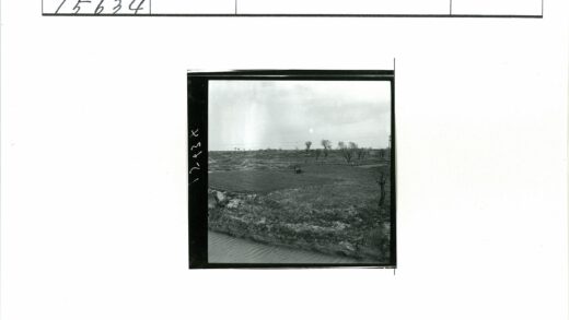 田野农耕人与马劳作场景.jpg