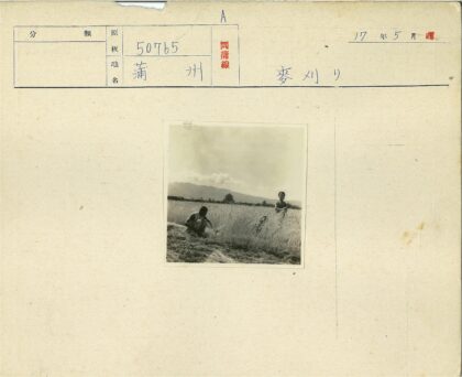 田野劳作与宝塔山景.jpg