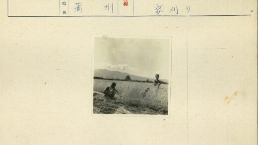 田野劳作与宝塔山景.jpg