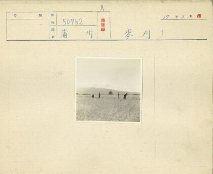 田野劳作与宝塔群山风光.jpg