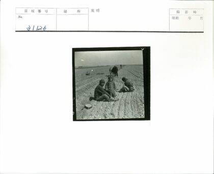 田野劳作与家庭时光.jpg
