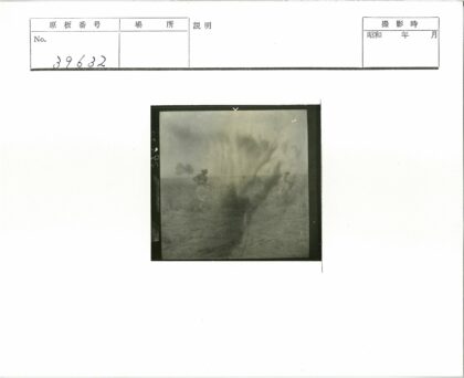 田野劳作与树林背景.jpg