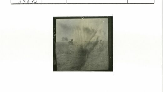 田野劳作与树林背景.jpg