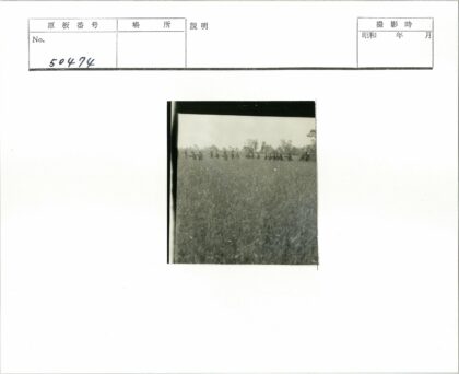 田野劳作与自然风光.jpg