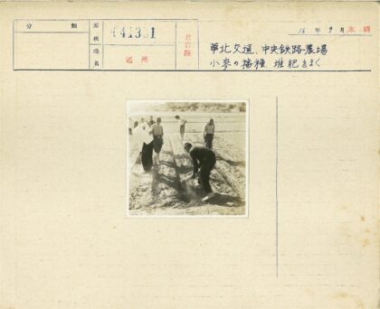田野劳作与自然风光.jpg